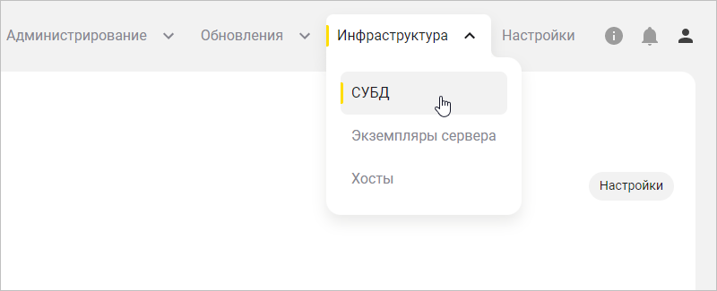 Выбор пункта СУБД в меню Инфраструктура