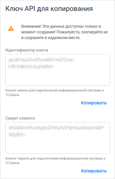 Ключ API для копирования