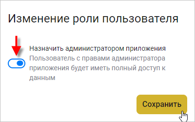 Установка флажка «Назначить администратором приложения»
