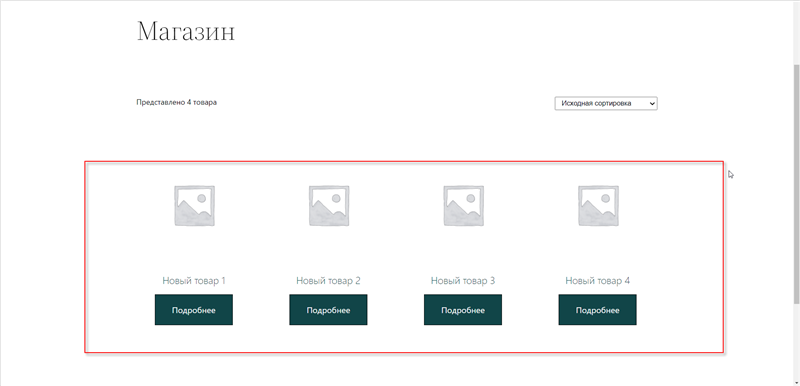 Отображение новых товаров на сайте