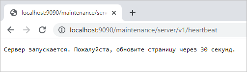 Сообщение при проверке работоспособности сервера в процессе его запуска