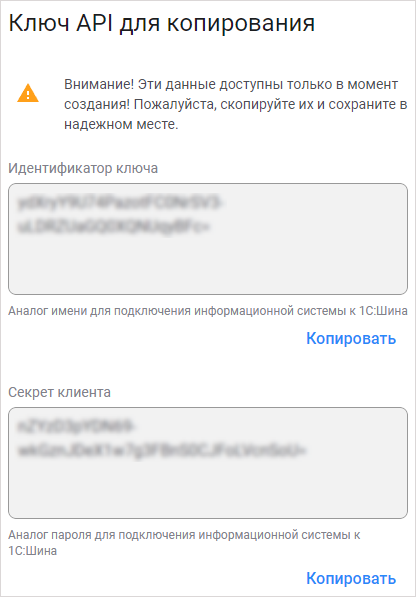 Ключ API для копирования
