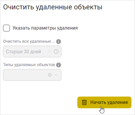 Форма «Очистить удаленные объекты» без указания параметров